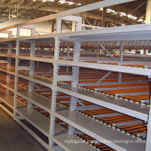 Fifo Nanjing Industrial Rolling Shelves Storage Warehouse Carton Flow Rack with Ce